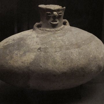 Muséum dhistoire naturelle de La Rochelle