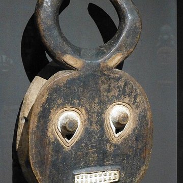 Muséum dhistoire naturelle de La Rochelle