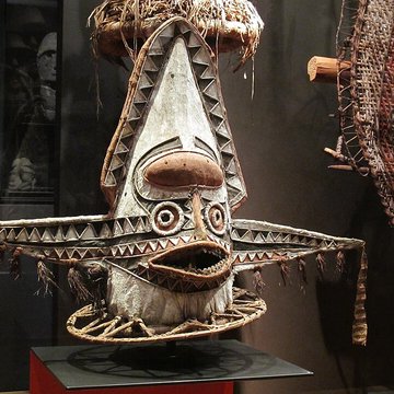 Muséum dhistoire naturelle de La Rochelle