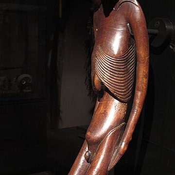 Muséum dhistoire naturelle de La Rochelle