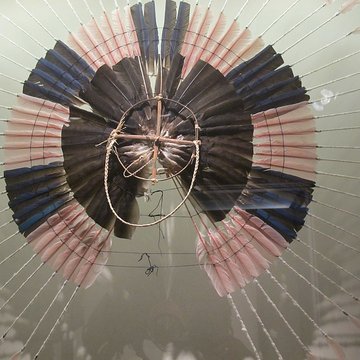 Muséum dhistoire naturelle de La Rochelle