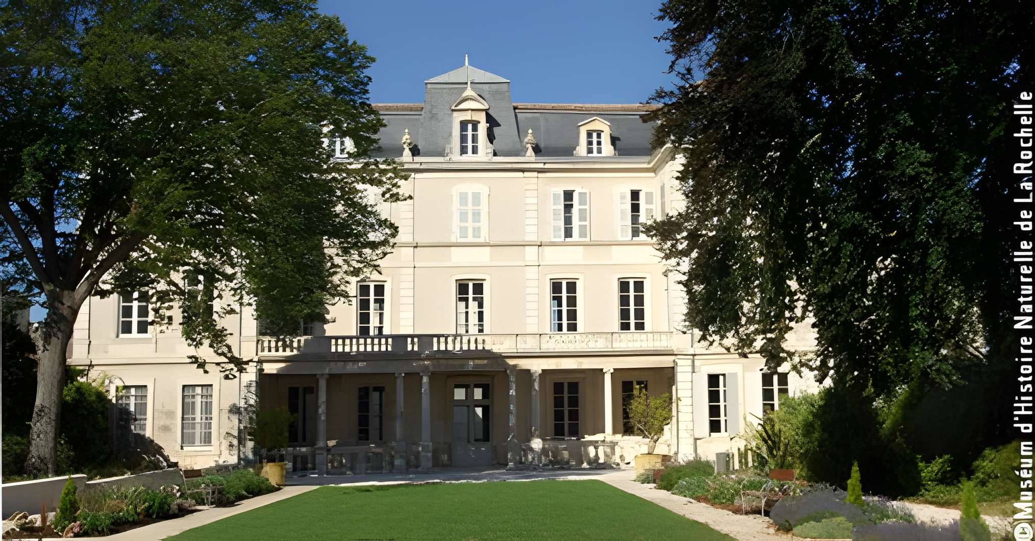 Muséum d'histoire naturelle de La Rochelle 