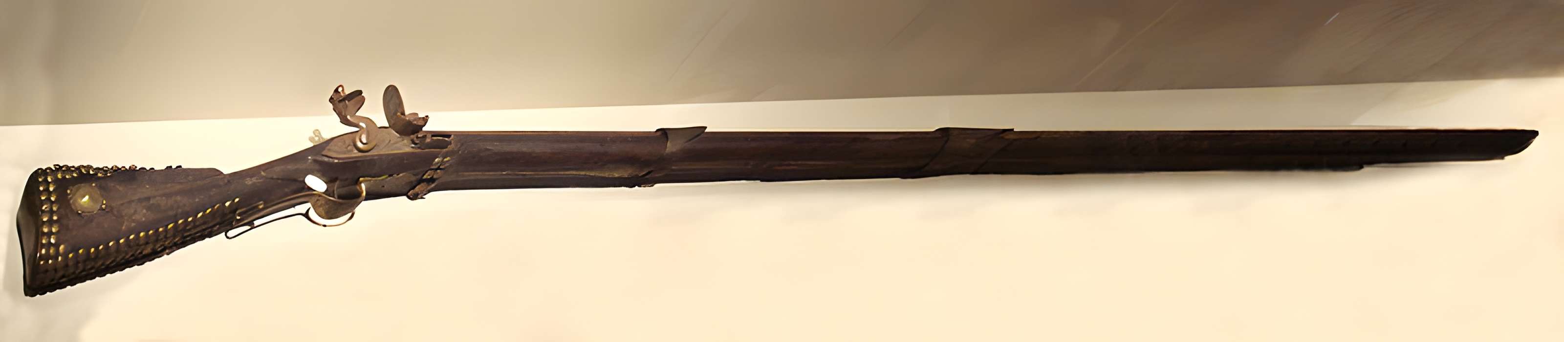 Muséum d'histoire naturelle de La Rochelle