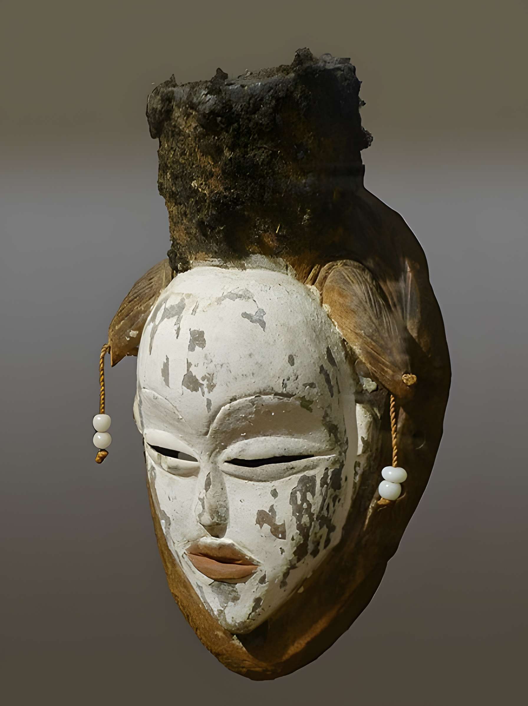 Muséum d'histoire naturelle de La Rochelle