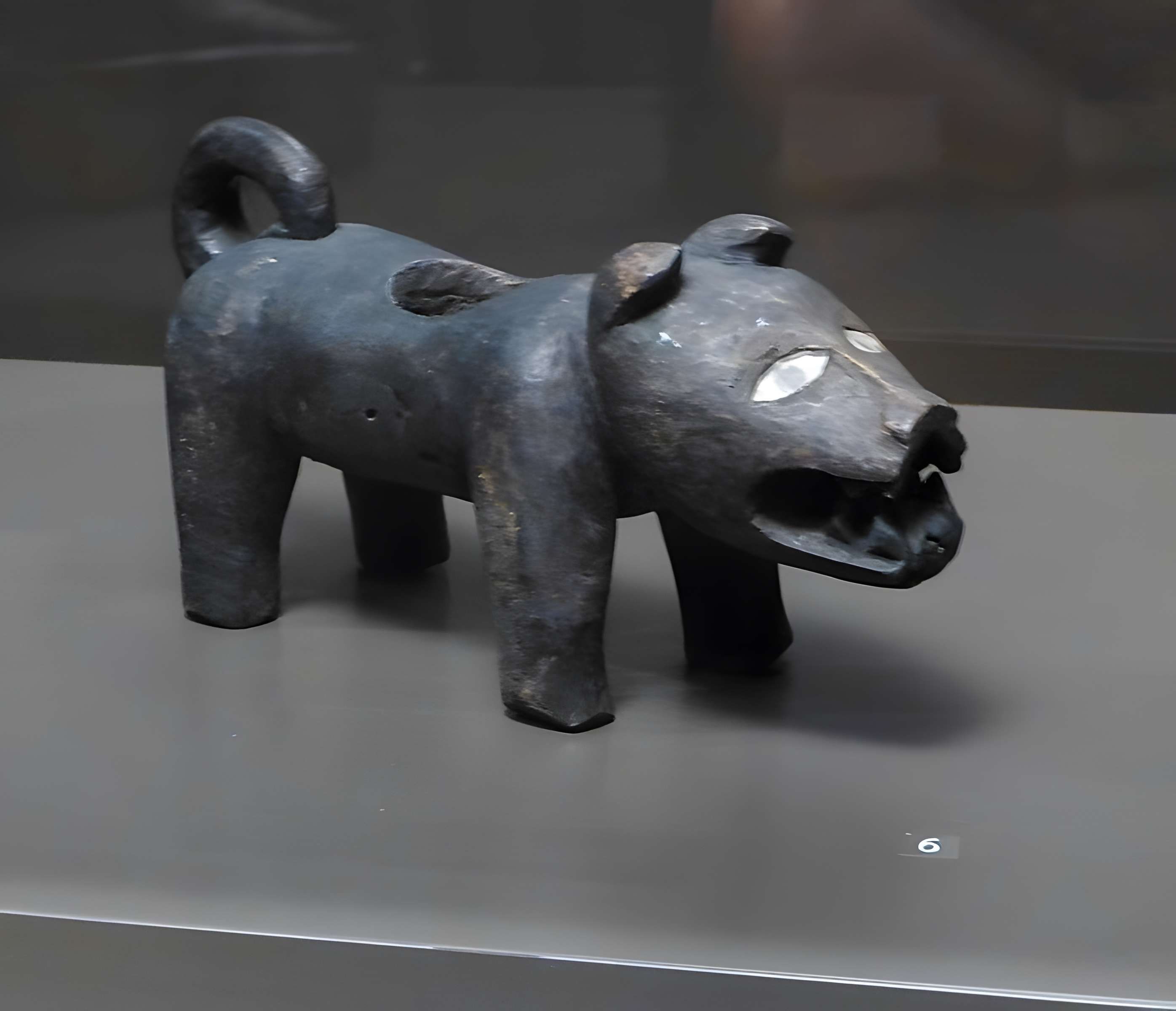 Muséum d'histoire naturelle de La Rochelle