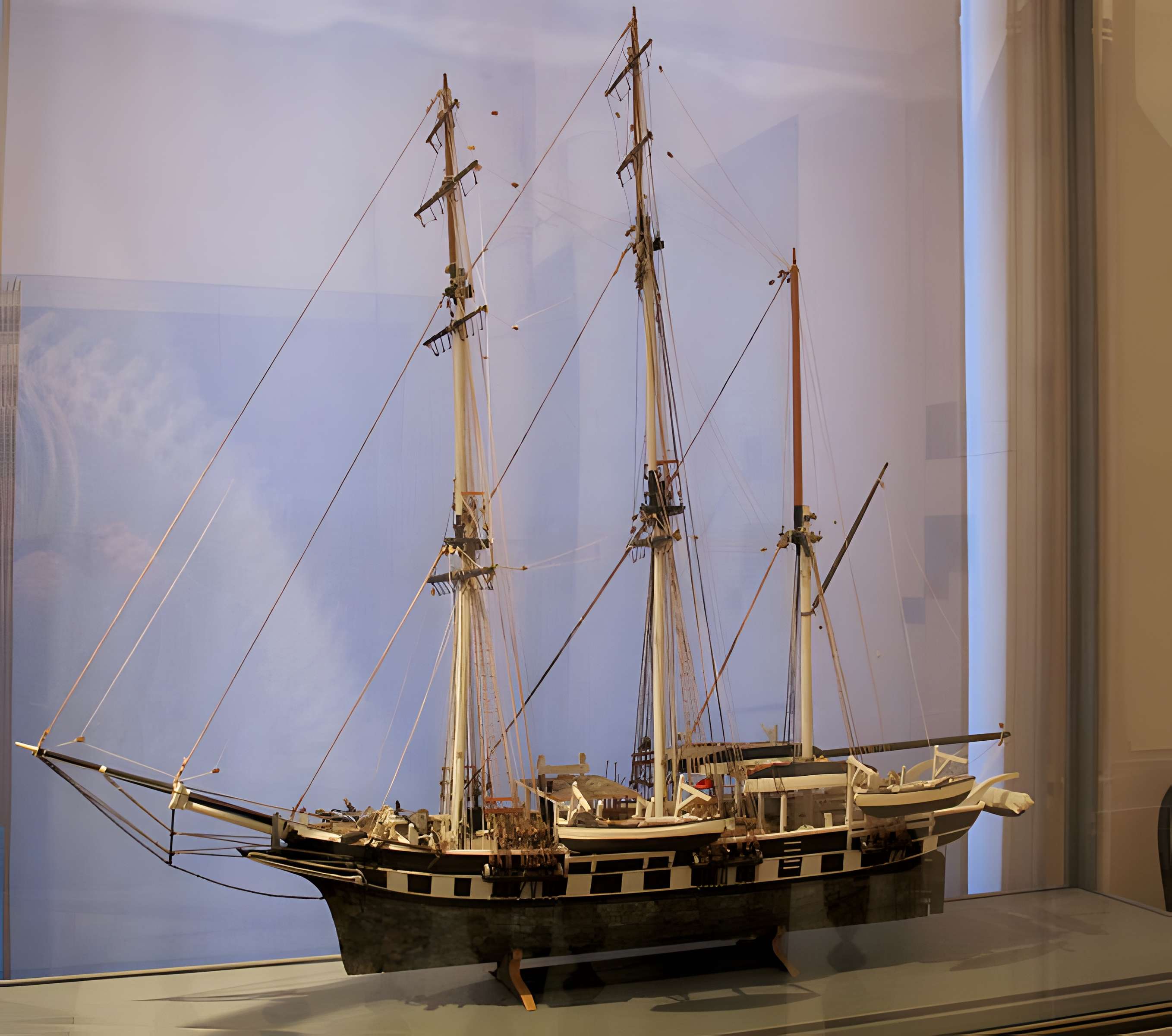 Muséum d'histoire naturelle de La Rochelle