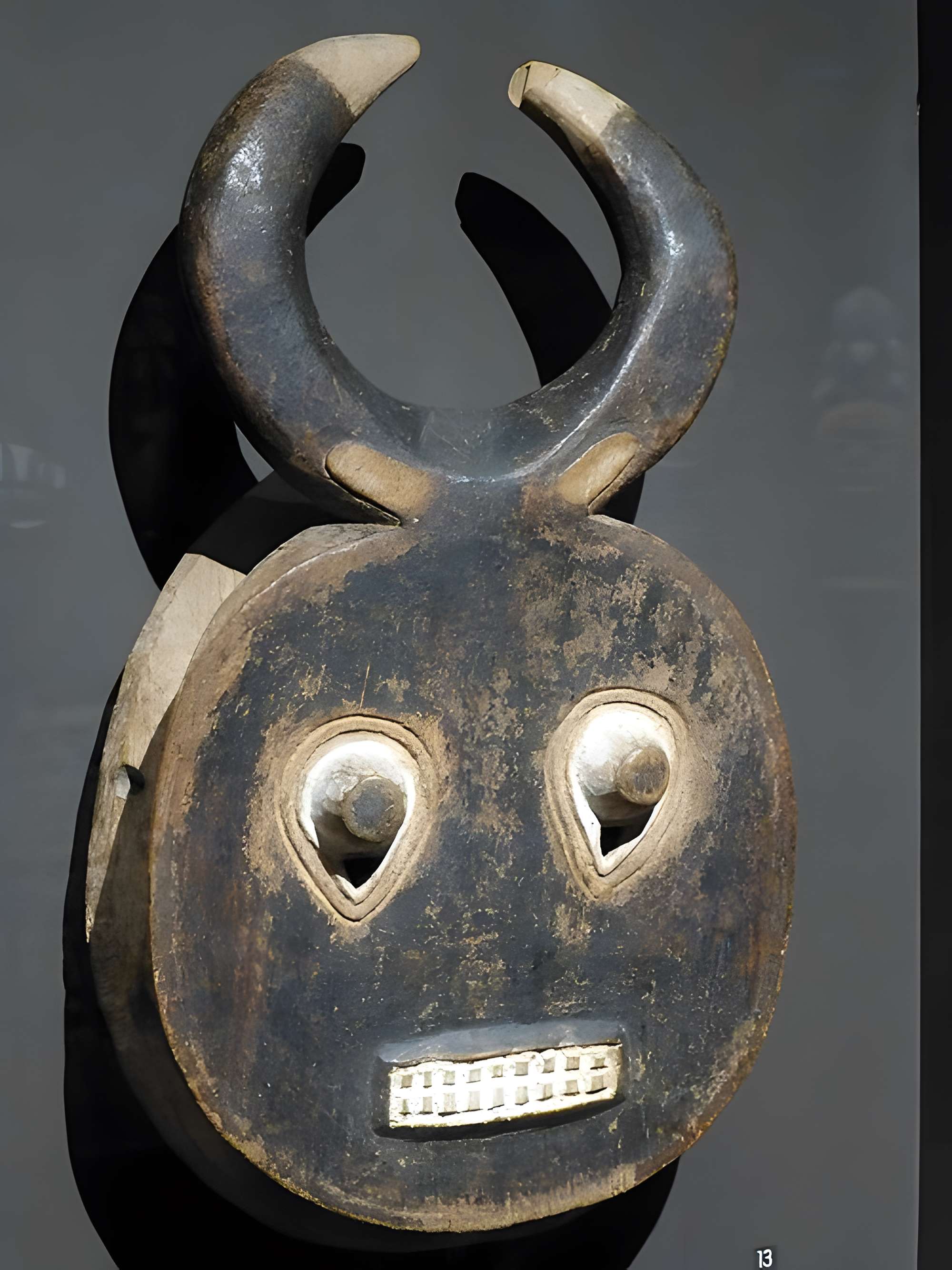 Muséum d'histoire naturelle de La Rochelle