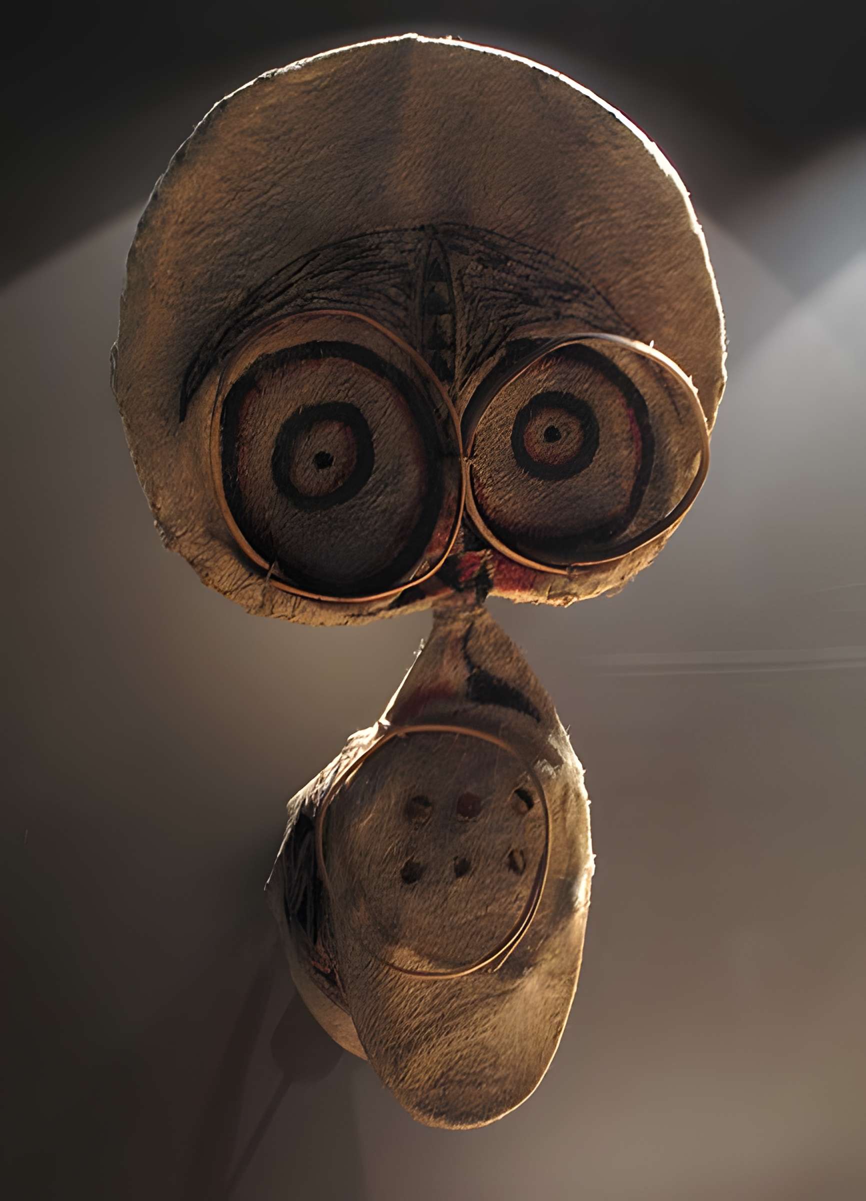 Muséum d'histoire naturelle de La Rochelle