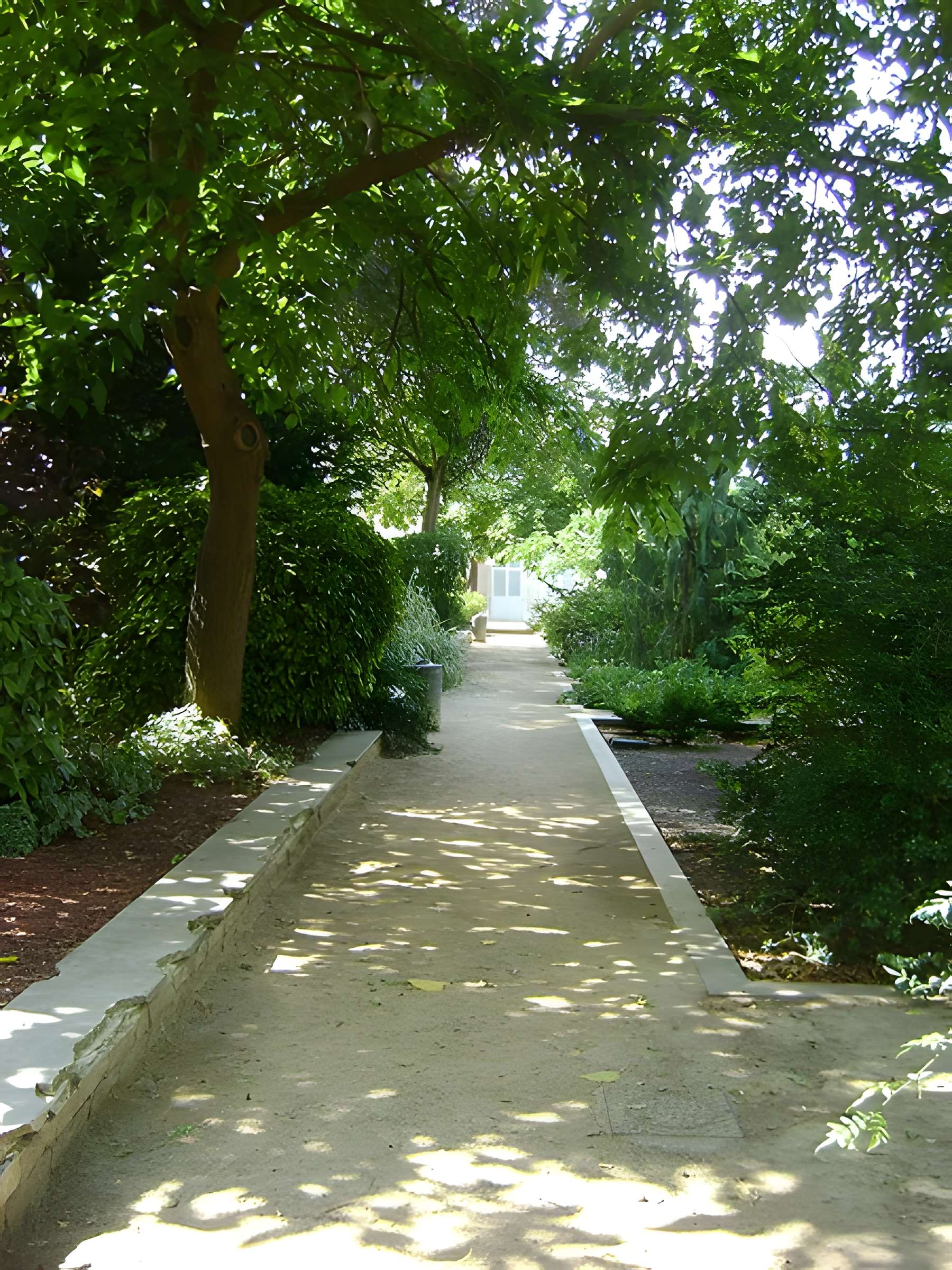 Muséum d'histoire naturelle de La Rochelle