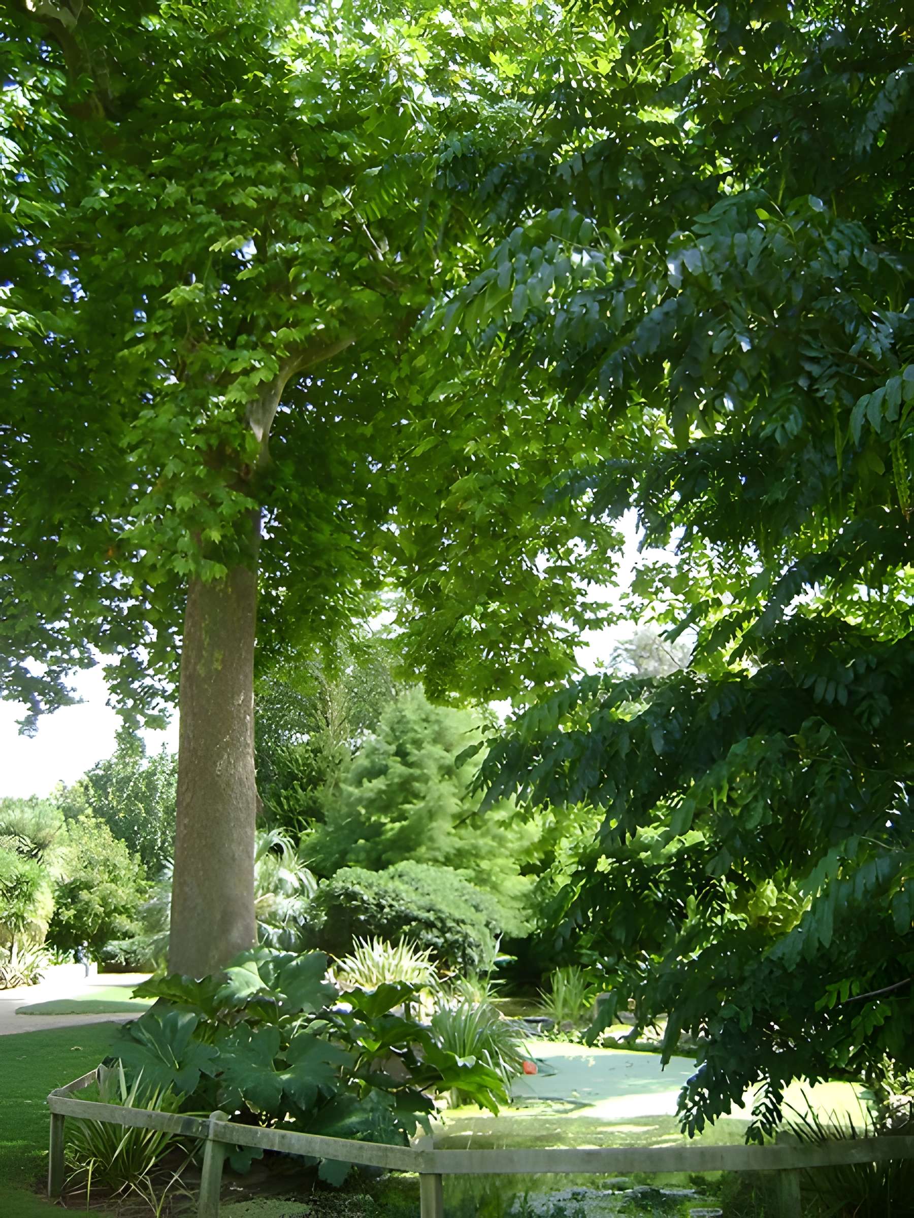 Muséum d'histoire naturelle de La Rochelle