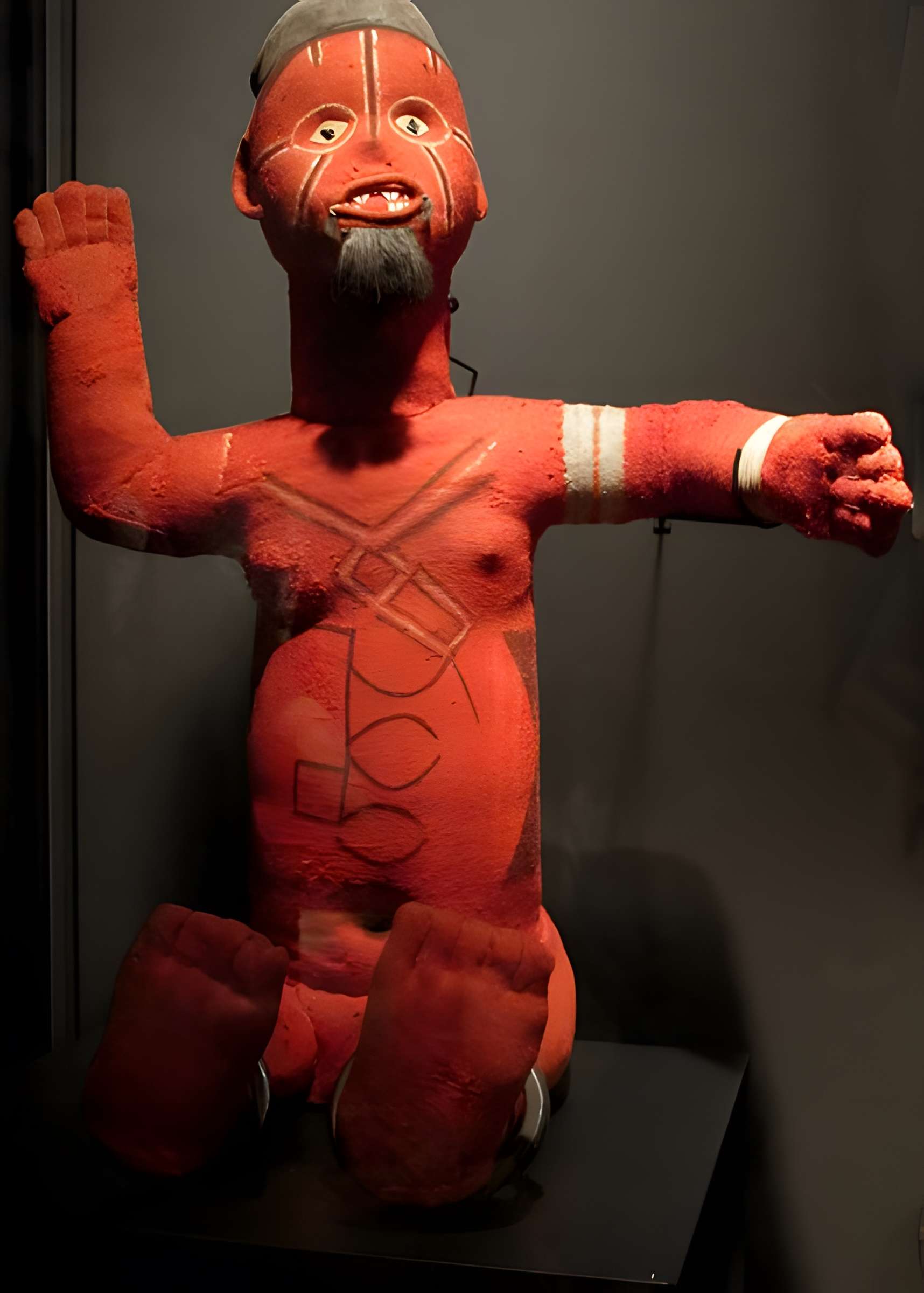 Muséum d'histoire naturelle de La Rochelle