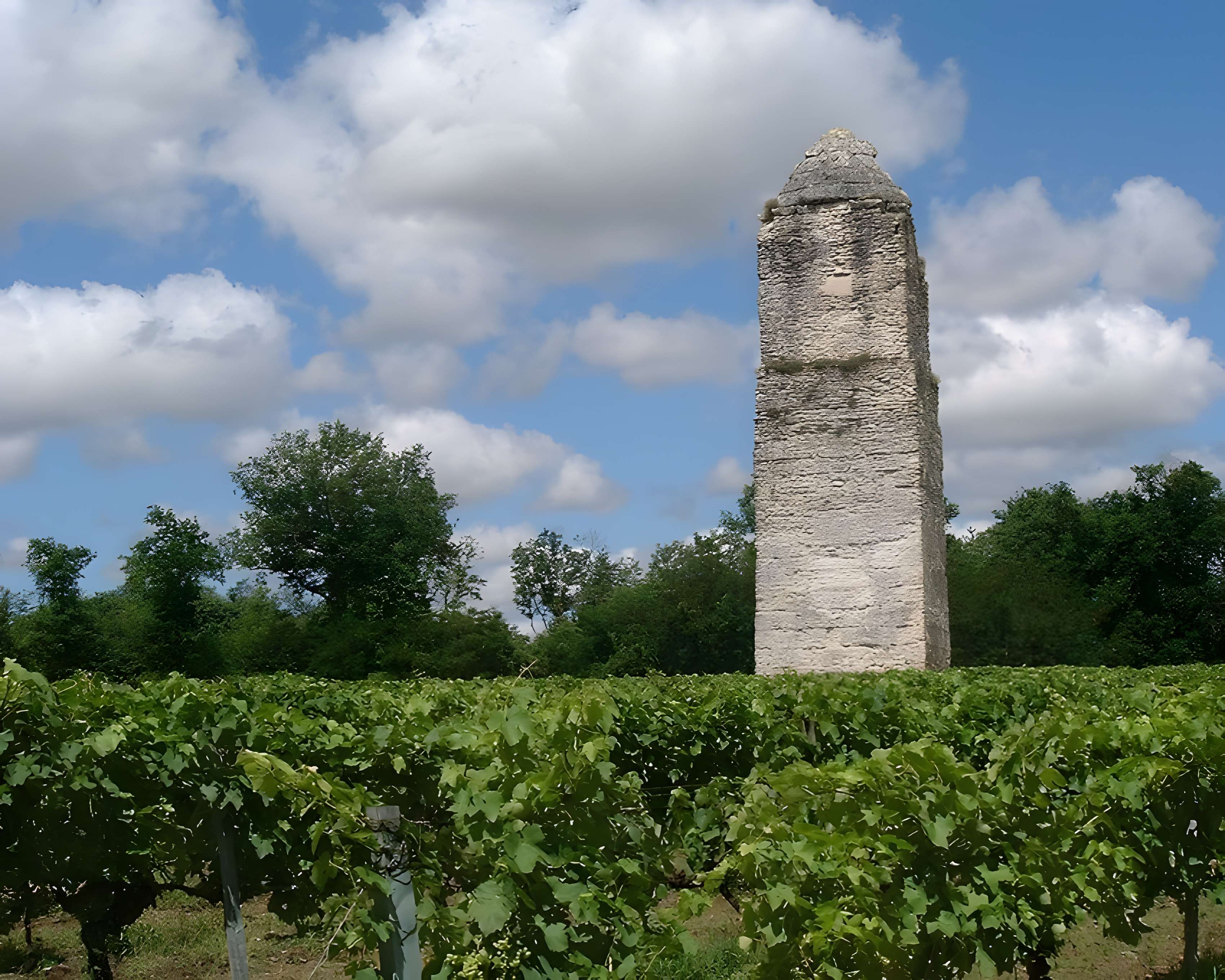 Musée des Alambics Écomusée du Hameau de Pirelonge à Saint-Romain-de-Benet 