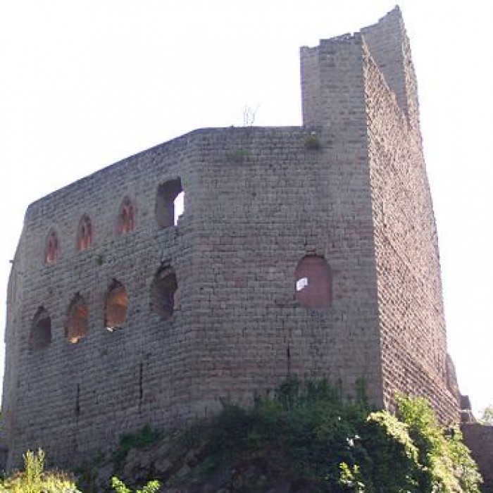 Photo de Ruines du château de Spesbourg