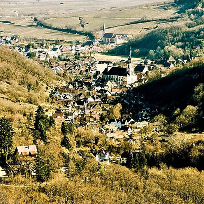 Photo de Ruines du château de Spesbourg
