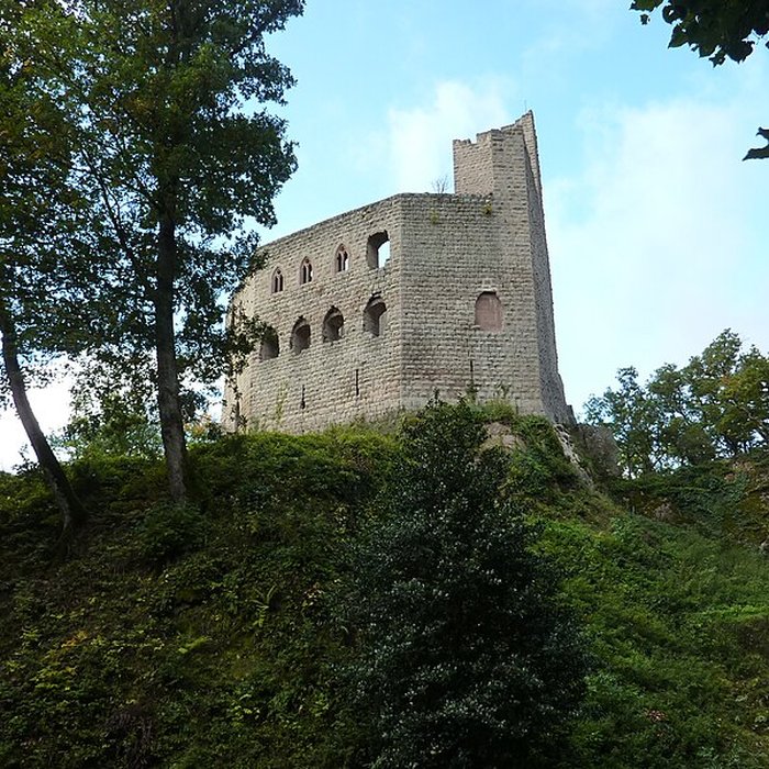 Photo de Ruines du château de Spesbourg