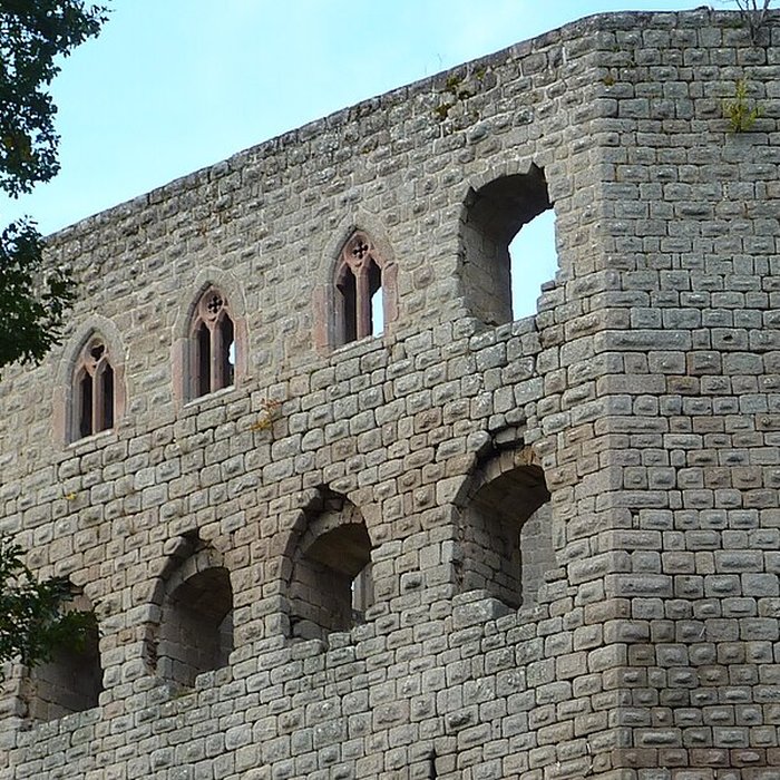 Photo de Ruines du château de Spesbourg