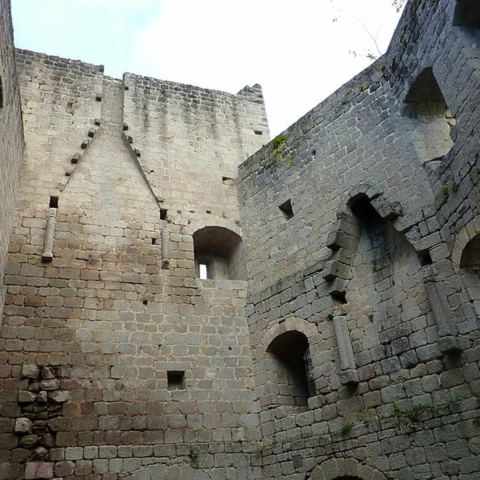 Photo de Ruines du château de Spesbourg