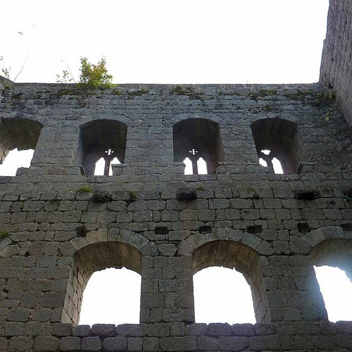 Photo de Ruines du château de Spesbourg