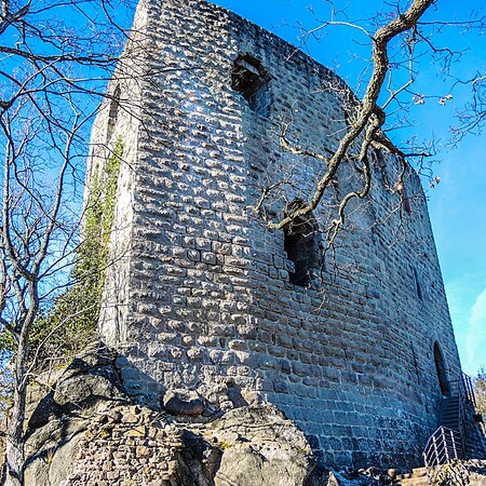 Photo de Ruines du château de Spesbourg