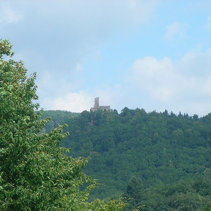 Photo de Ruines du château de Spesbourg