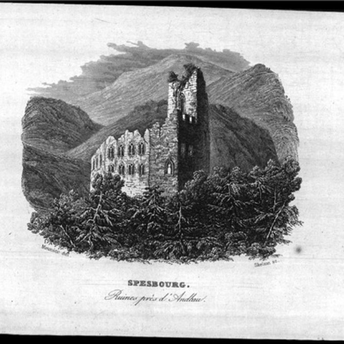 Photo de Ruines du château de Spesbourg