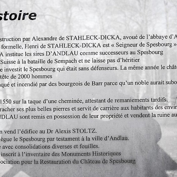 Photo de Ruines du château de Spesbourg