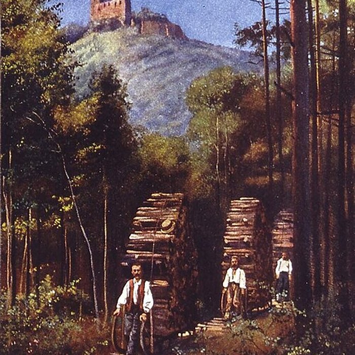 Photo de Ruines du château de Spesbourg