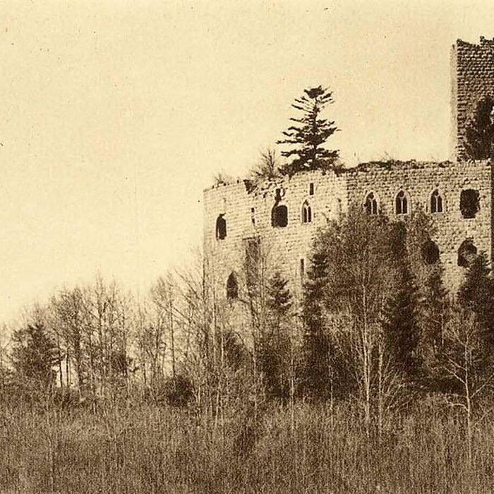 Photo de Ruines du château de Spesbourg