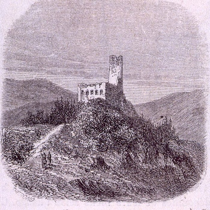 Photo de Ruines du château de Spesbourg