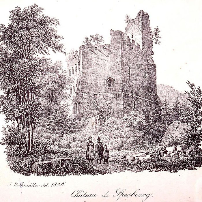Photo de Ruines du château de Spesbourg