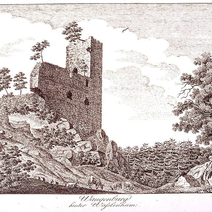 Photo de Ruines du château de Spesbourg