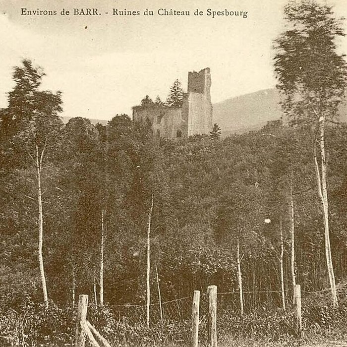 Photo de Ruines du château de Spesbourg