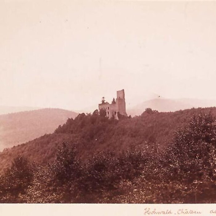 Photo de Ruines du château de Spesbourg