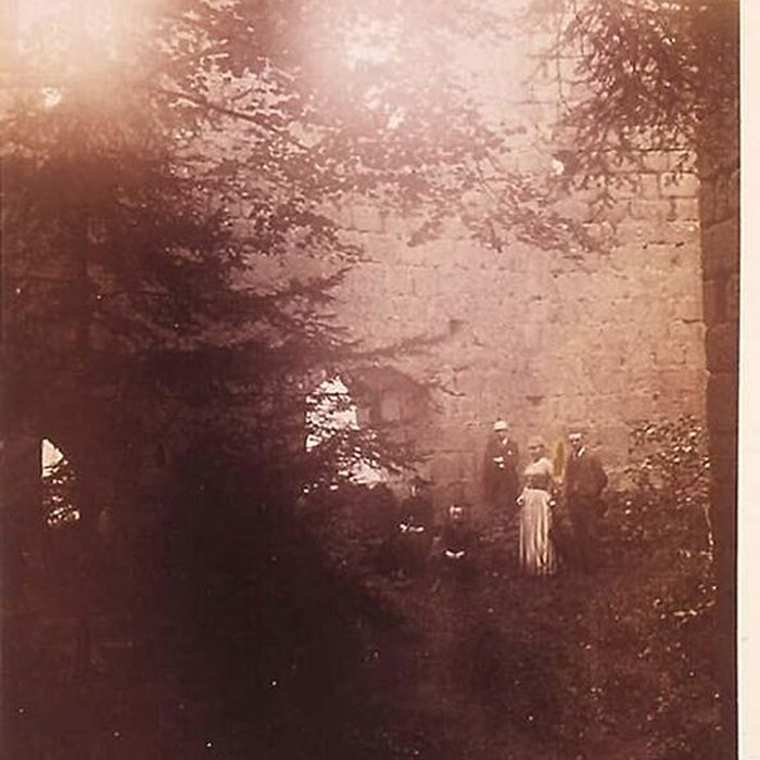 Photo de Ruines du château de Spesbourg