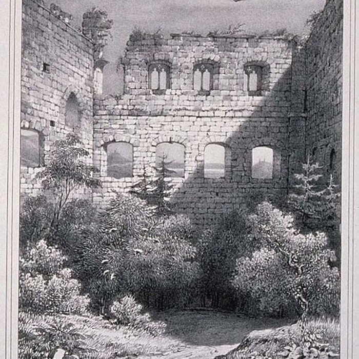 Photo de Ruines du château de Spesbourg