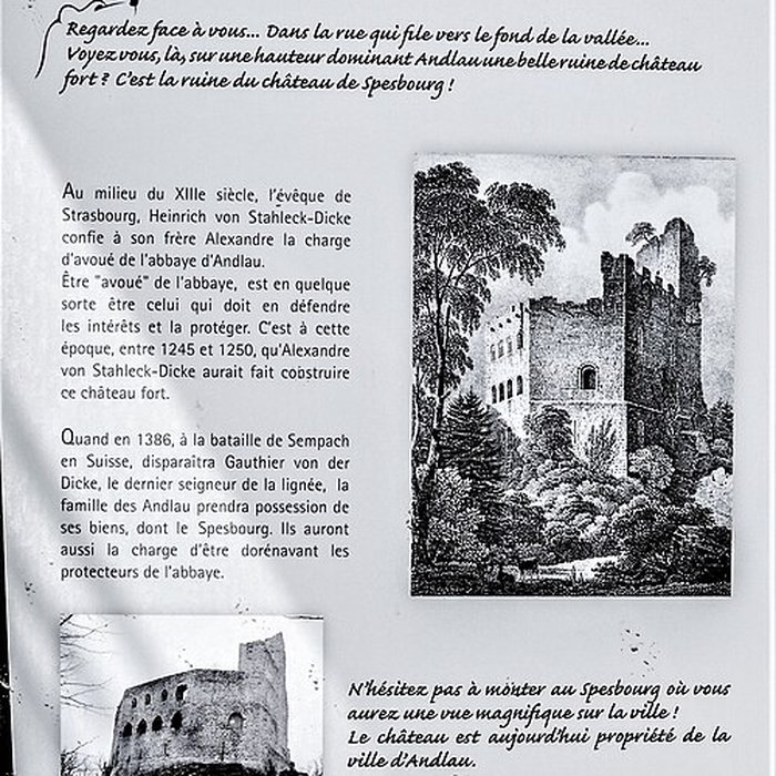 Photo de Ruines du château de Spesbourg