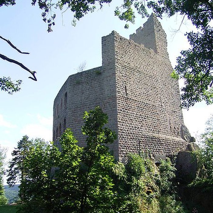 Photo de Ruines du château de Spesbourg