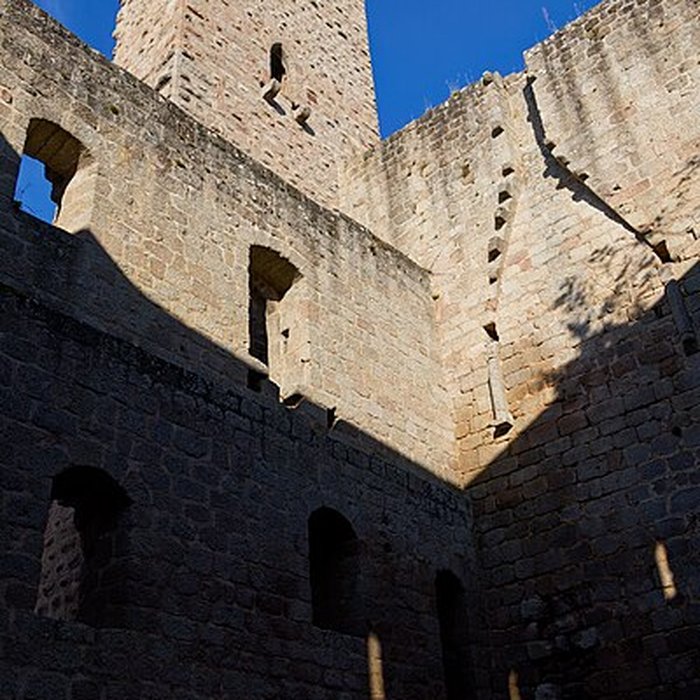 Photo de Ruines du château de Spesbourg