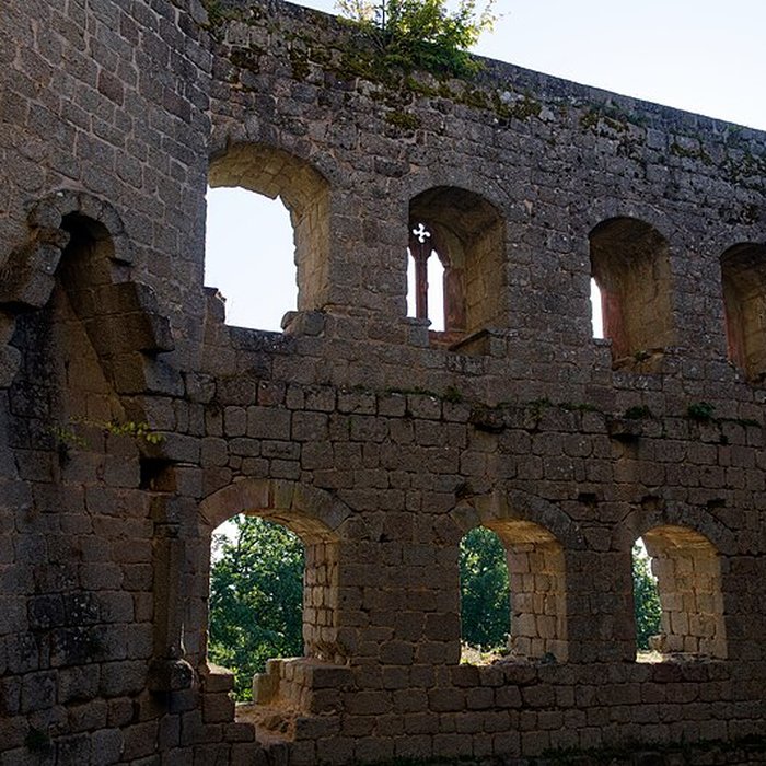 Photo de Ruines du château de Spesbourg