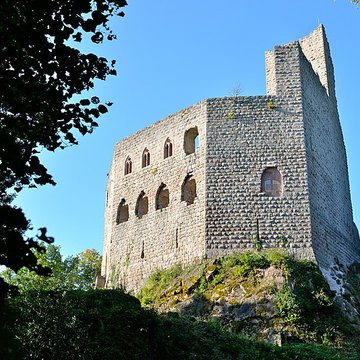 Ruines du château de Spesbourg