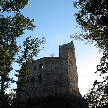 Ruines du château de Spesbourg
