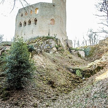 Ruines du château de Spesbourg