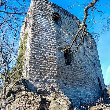 Ruines du château de Spesbourg