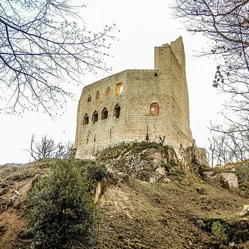 Ruines du château de Spesbourg