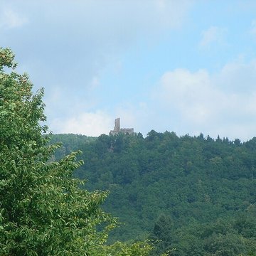 Ruines du château de Spesbourg