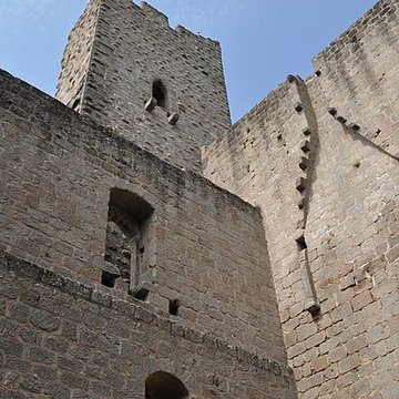 Ruines du château de Spesbourg