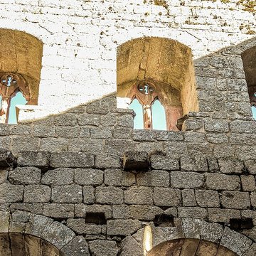 Ruines du château de Spesbourg