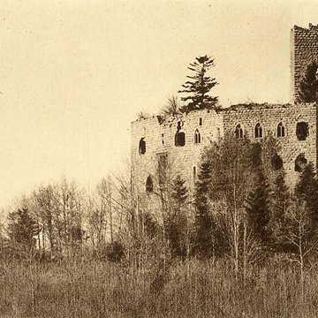 Ruines du château de Spesbourg