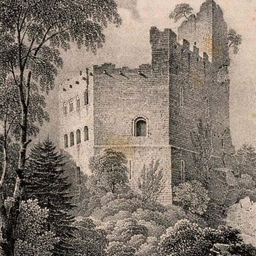 Ruines du château de Spesbourg