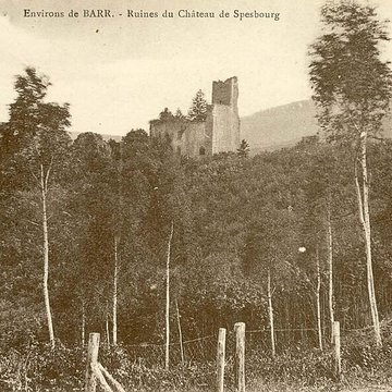 Ruines du château de Spesbourg